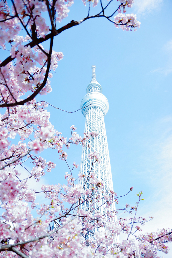 Tokyo Skytree