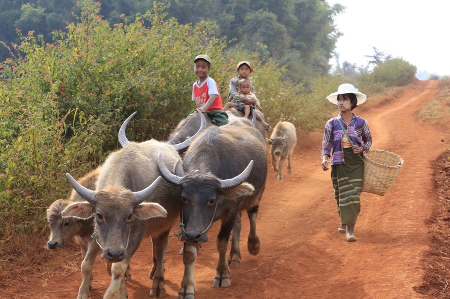 Trekking Myanmar