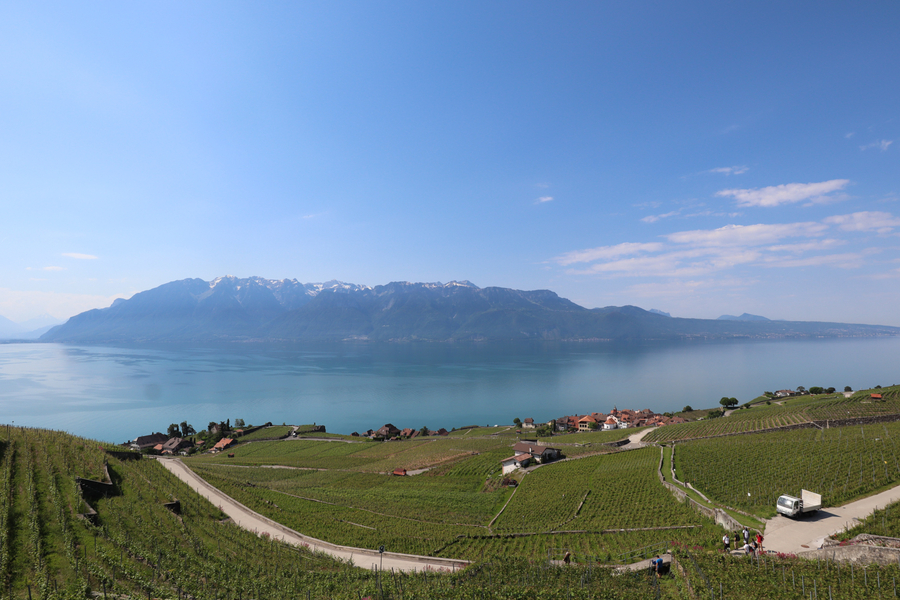 viñedos de lavaux
