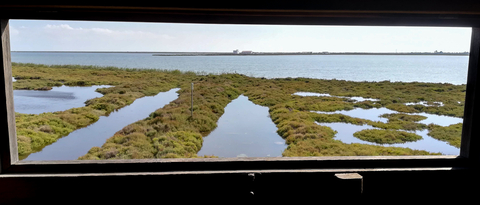 Que hacer en el Delta del Ebro
