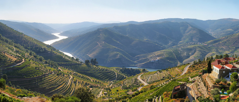 Viñedos del Valle del Duero